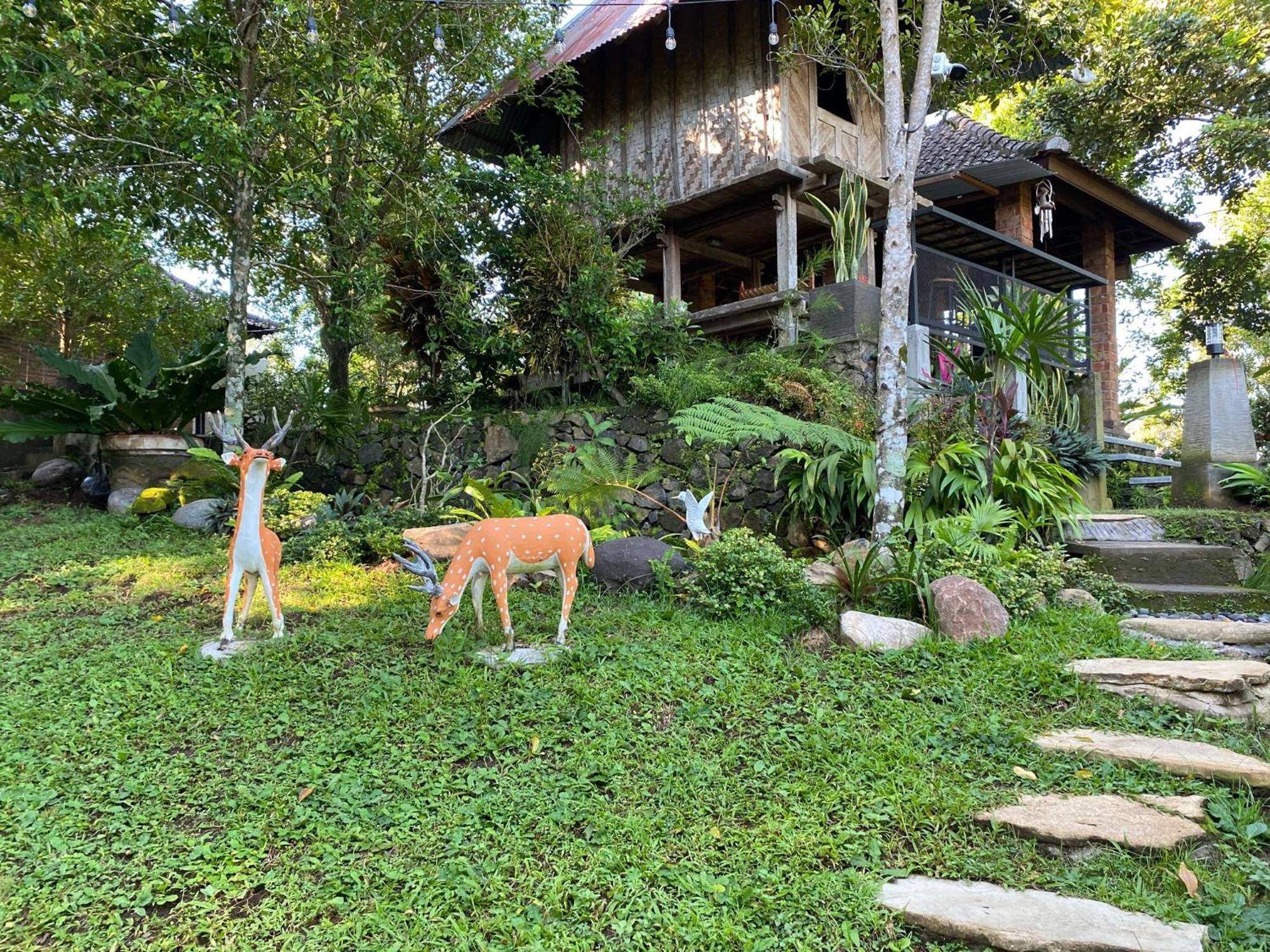 Mayong Bali Villa And Hostel Munduk Exterior foto