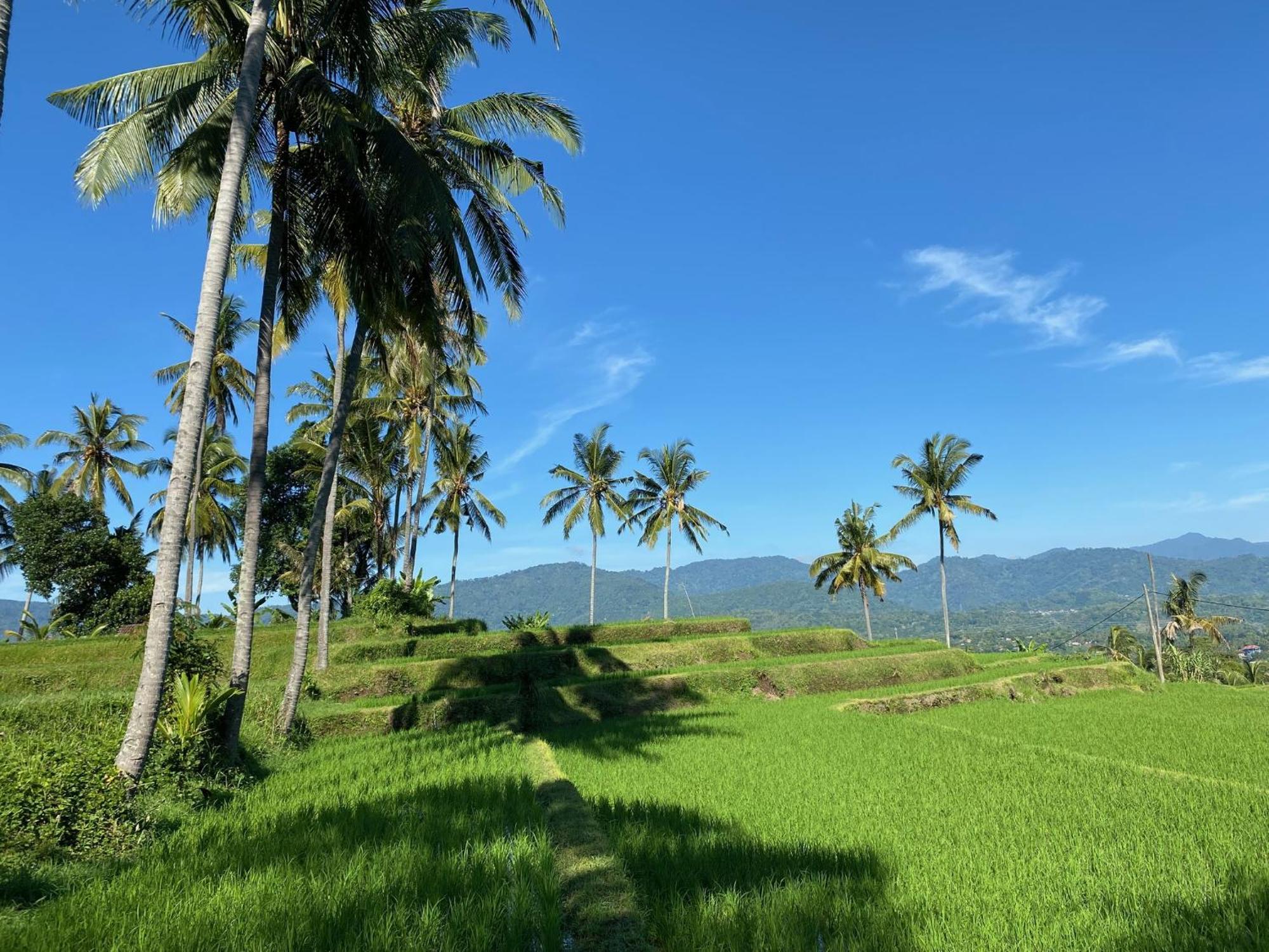 Mayong Bali Villa And Hostel Munduk Exterior foto